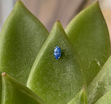 Load image into Gallery viewer, IS Odyssey Marquise Swarovski Gems