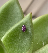 Load image into Gallery viewer, IS Odyssey Marquise Swarovski Gems